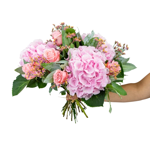 Bouquet of hydrangea